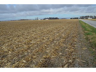Property photo 15 - LAND AUCTION - 276.5+/- ACRES OFFERED IN 5 TRACTS IN EAST ALLEN COUNTY